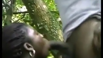 African Beauty Gets Fucked Hard