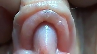 Intense Focus On A Large Clitoris And Labia