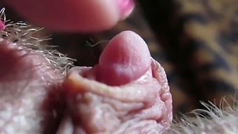 Intense Close-Up Of My Large Clitoris Head Throbbing During Hardcore Play