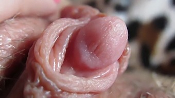 Get Up Close And Personal With My Throbbing Clit Head